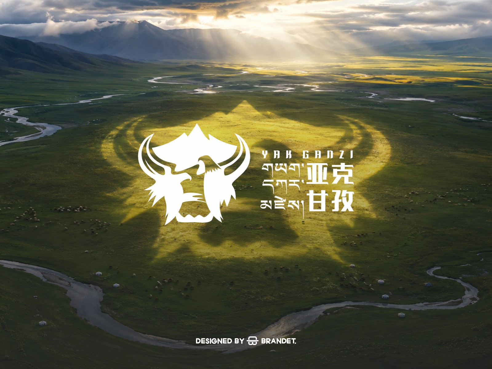 案例.JPG